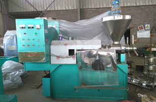 河南大豆榨油機價格