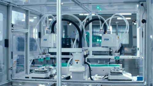 國內(nèi)積木市場為什么能這么火