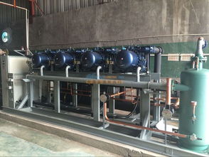 甘肅銷(xiāo)量領(lǐng)先的冷庫(kù)技術(shù)與張掖冷庫(kù)機(jī)械設(shè)備安裝銷(xiāo)售指南